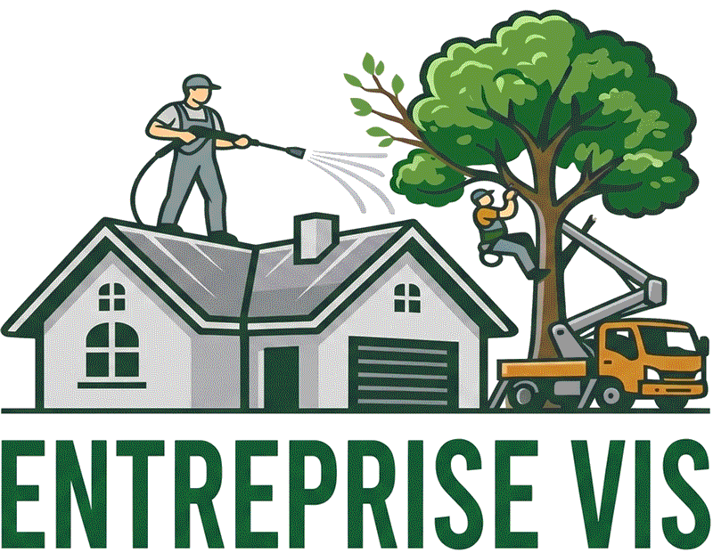 Entreprise Vis